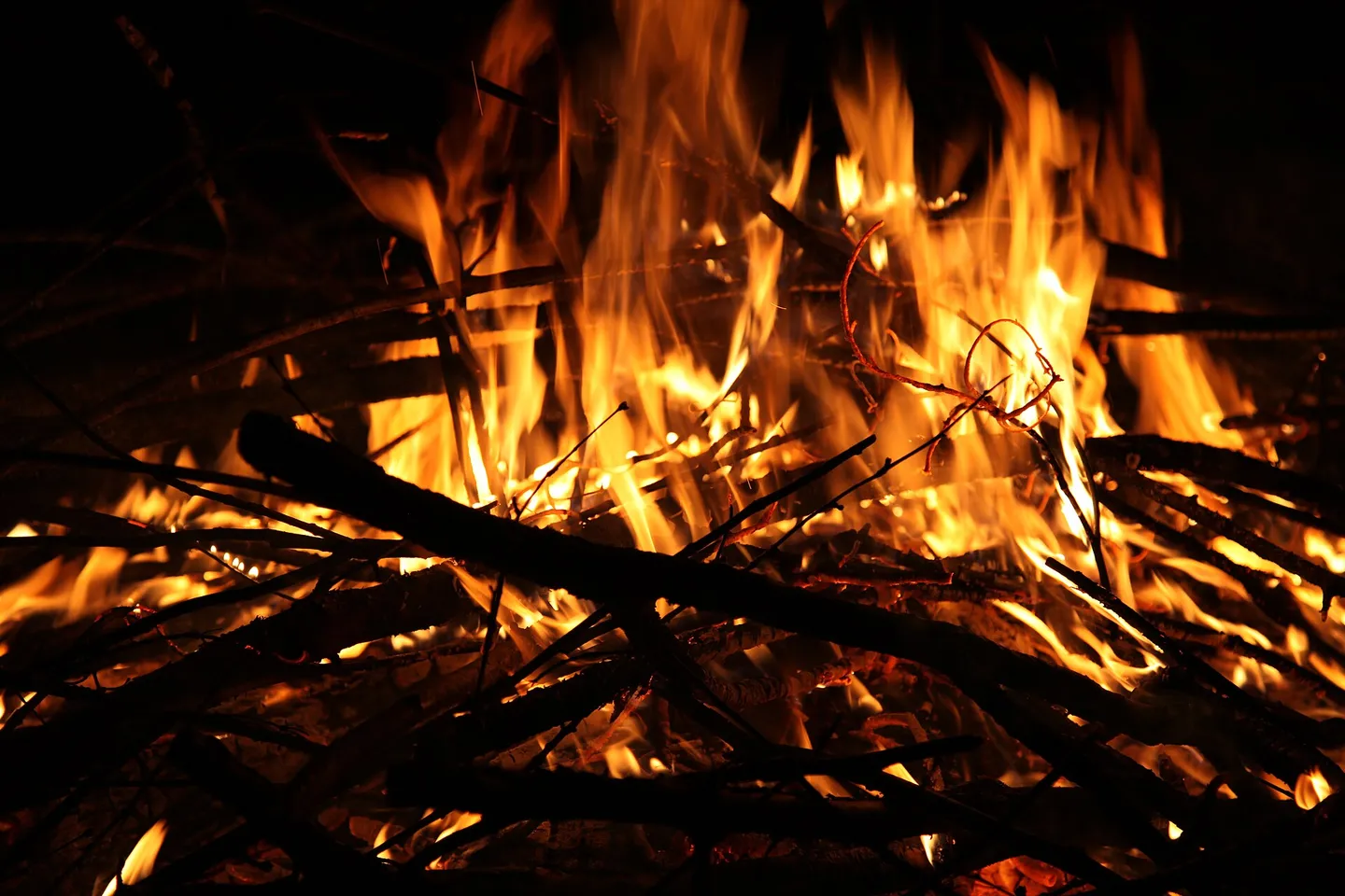 Flames of a campfire at night